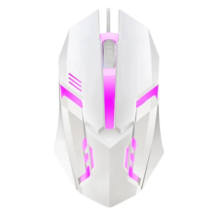 Wireless Mouse 2.4G Portable