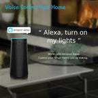 Smart Alexa Voice Control Speaker